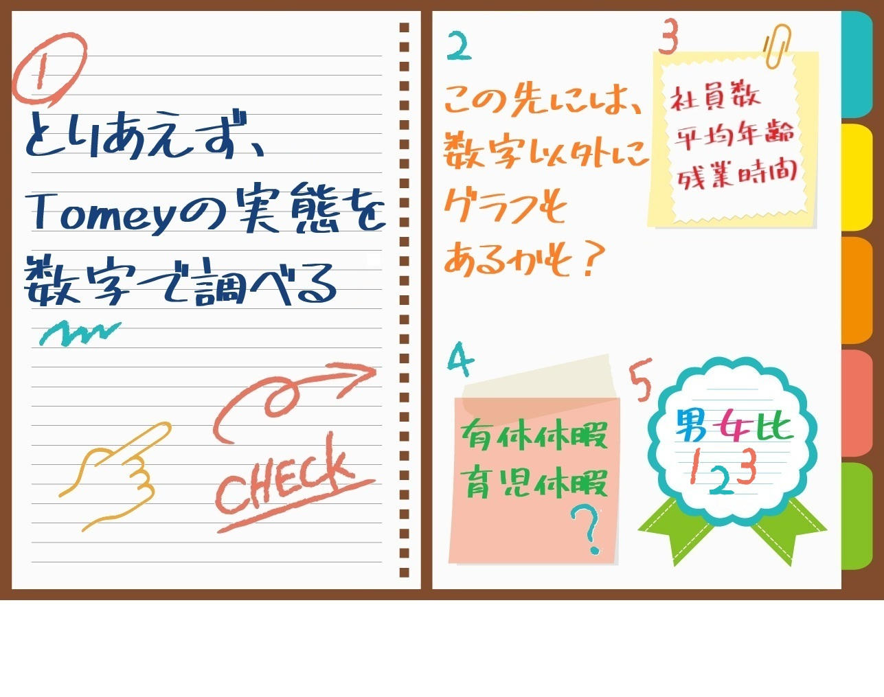 公開しているTOMEYの数字情報の項目画像 ワイド